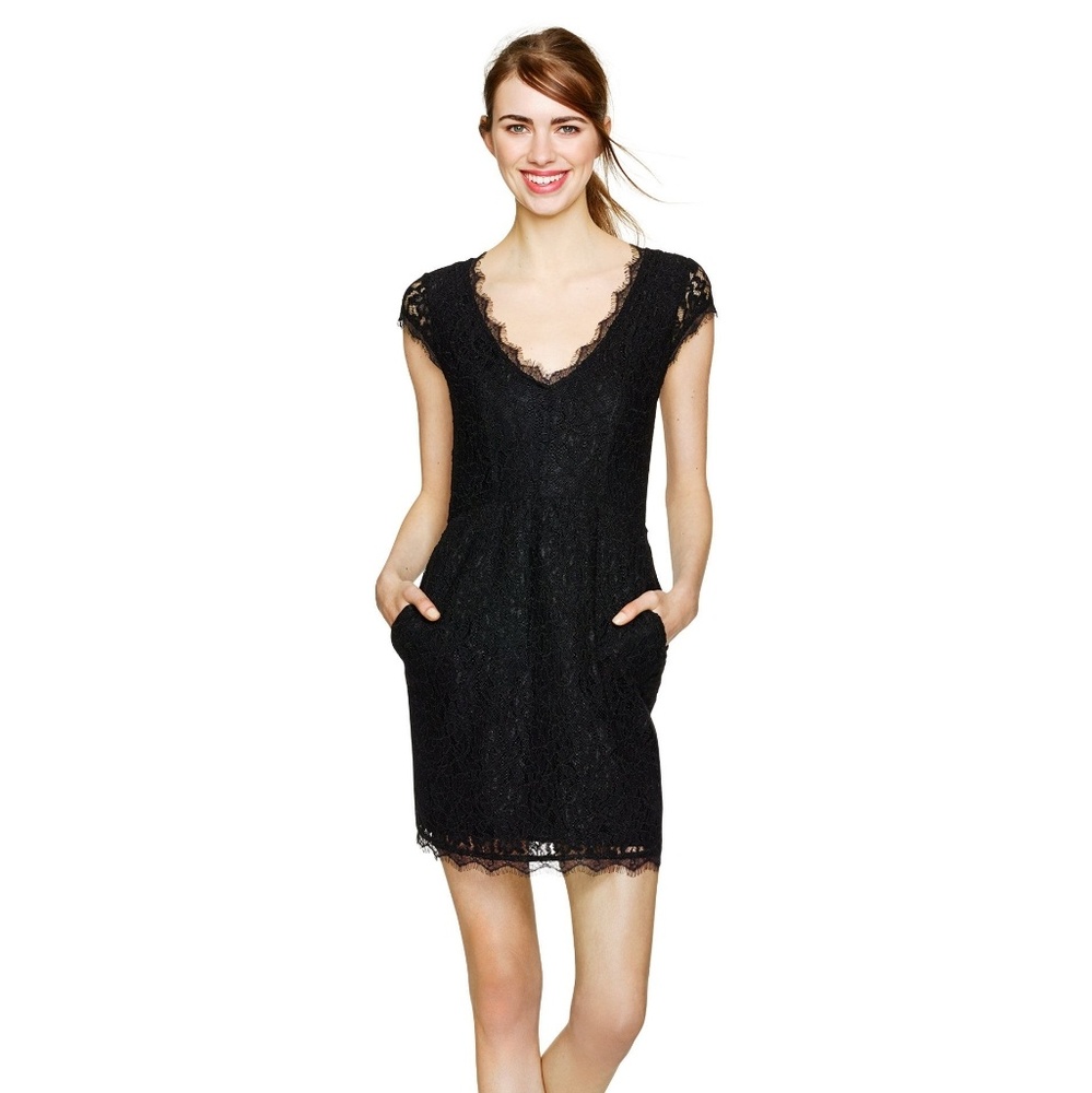 Babaton Aritzia Tobias Lace Dress